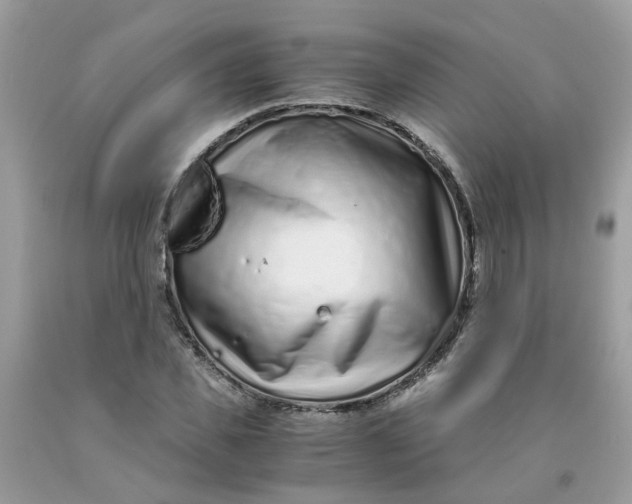 X0000091450925200709061731