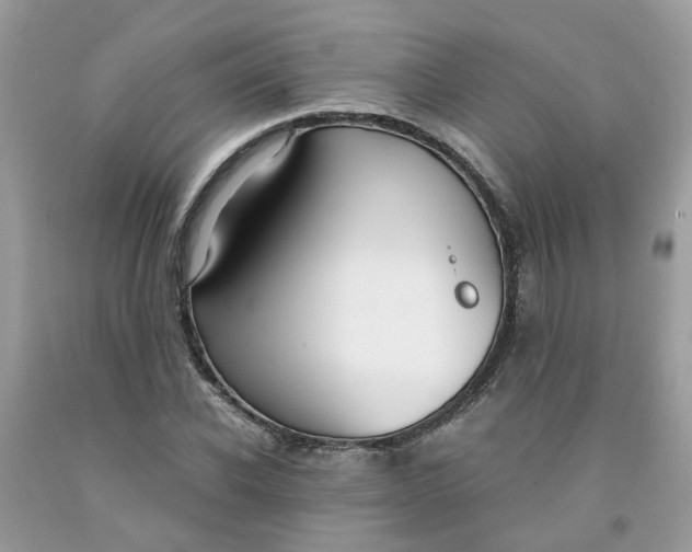 X0000091450926200709061731