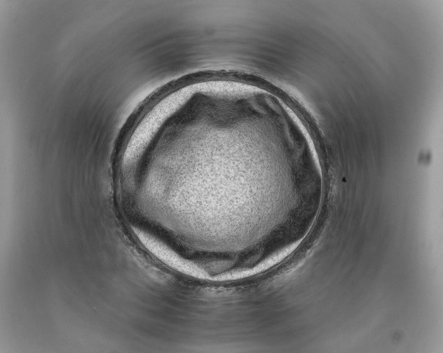 X0000091450927200709061731