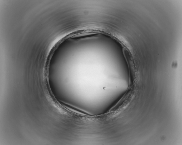 X0000091450928200709061731