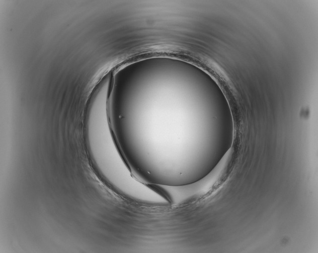 X0000091450930200709061732