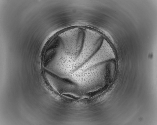 X0000091450931200709061732