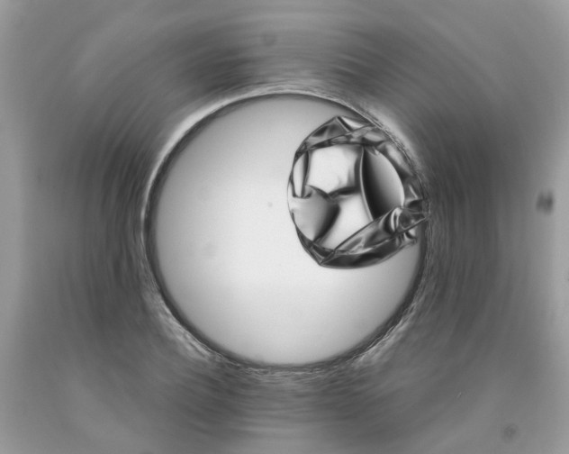 X0000091450932200709061732