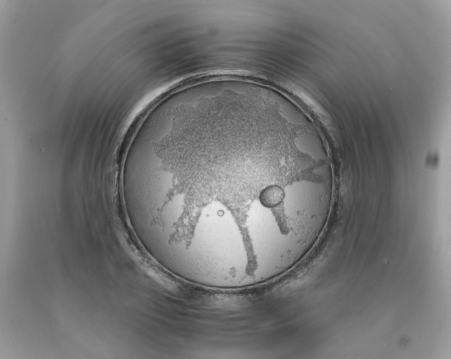 X0000091450933200709061732