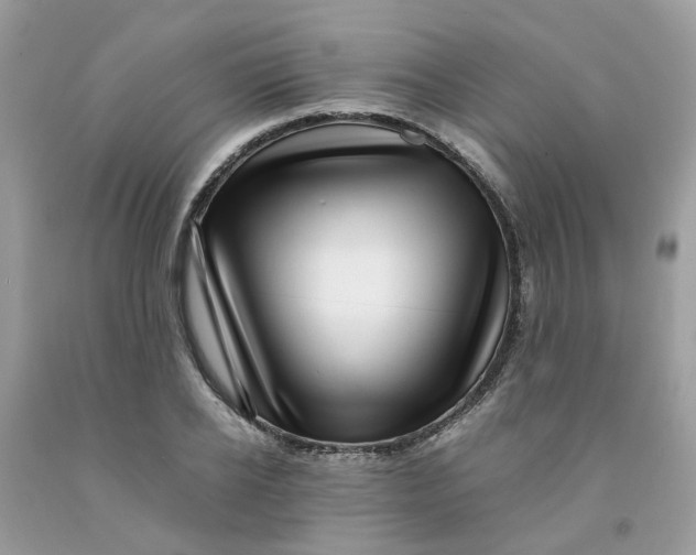 X0000091450934200709061732