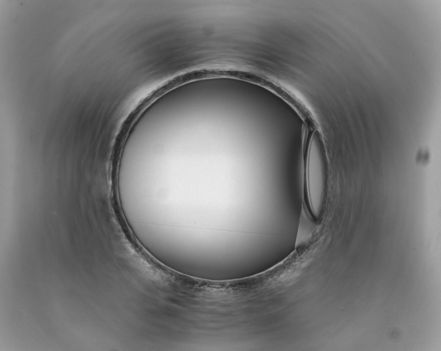 X0000091450935200709061732