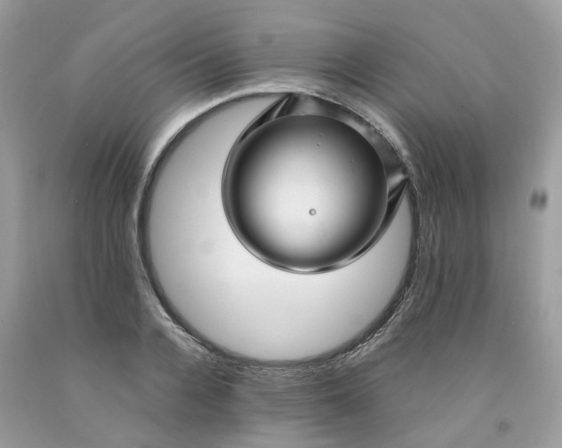 X0000091450936200709061732