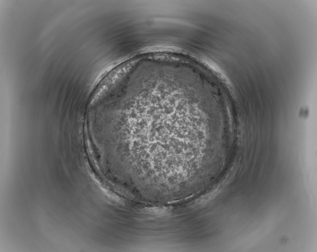 X0000091450937200709061732