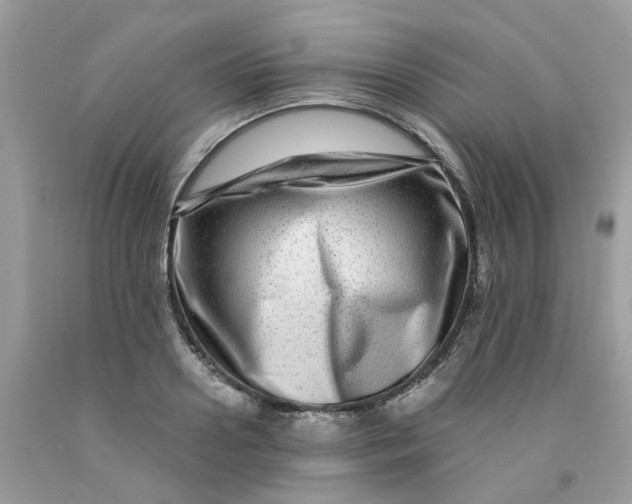 X0000091450938200709061732