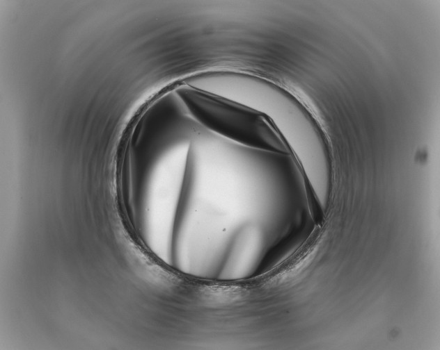 X0000091450939200709061732