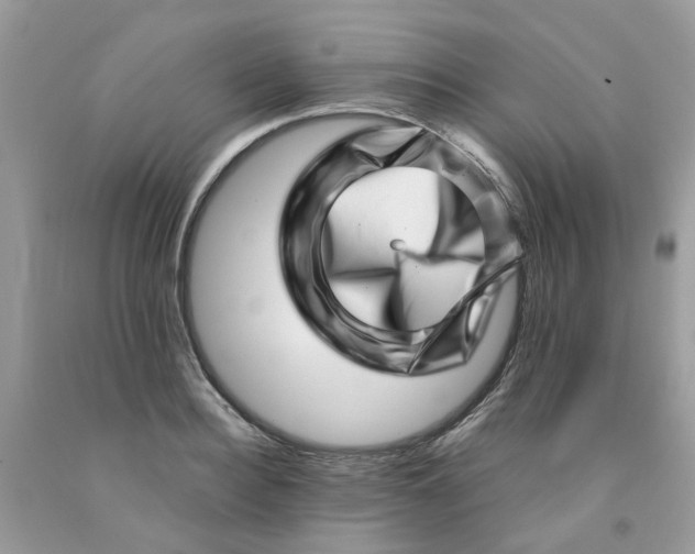 X0000091450940200709061732