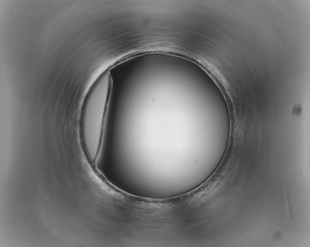 X0000091450941200709061732