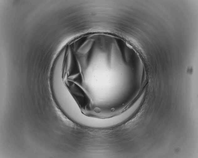 X0000091450942200709061732