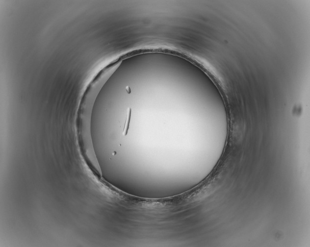 X0000091450943200709061732