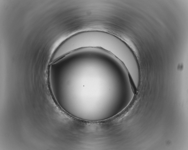 X0000091450944200709061732