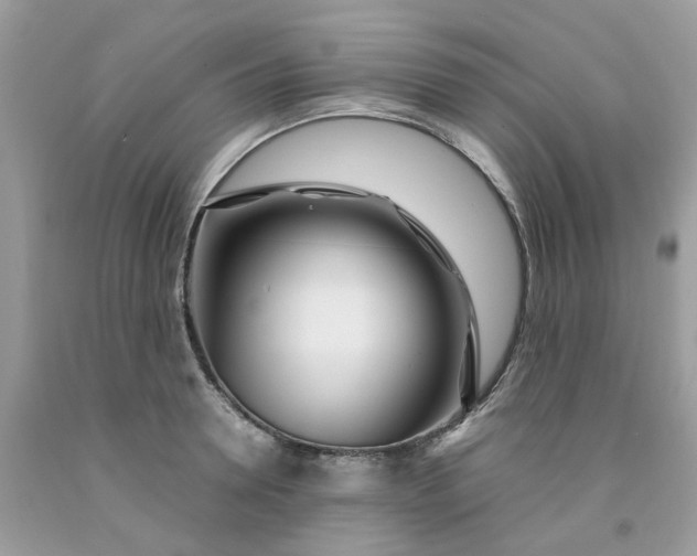 X0000091450946200709061732