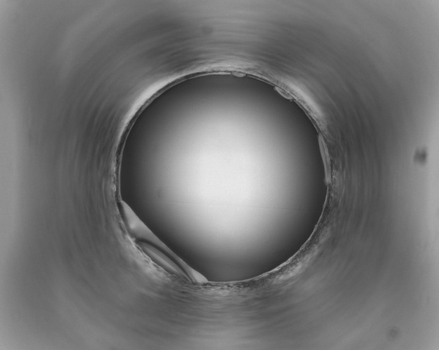 X0000091450948200709061732