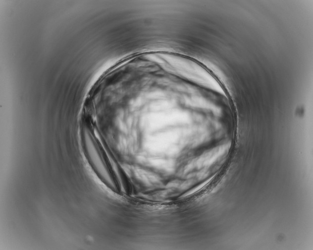 X0000091450949200709061732