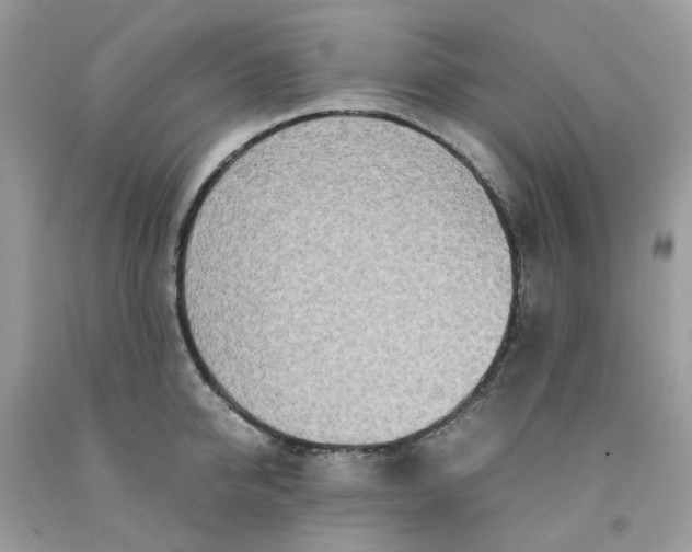 X0000091450950200709061732