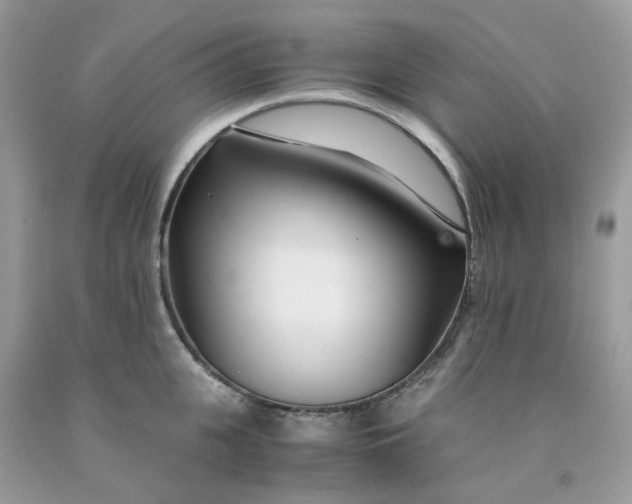 X0000091450951200709061732