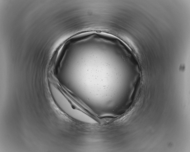 X0000091450952200709061732