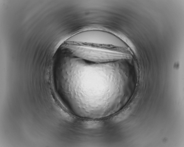 X0000091450953200709061732