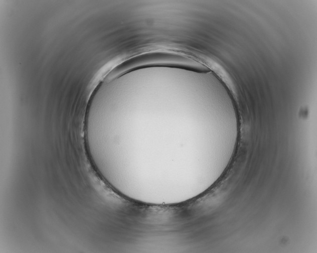 X0000091450954200709061732