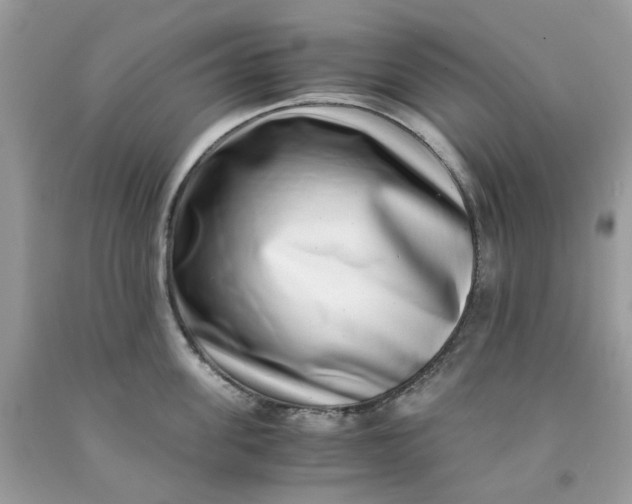 X0000091450955200709061732