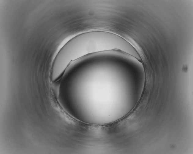 X0000091450956200709061732