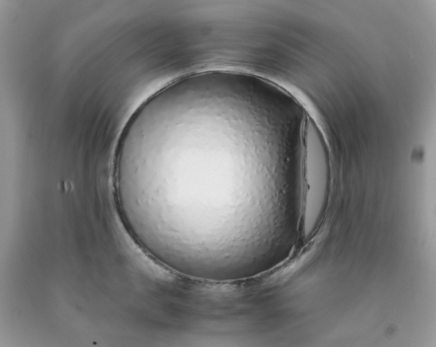 X0000091450957200709061732