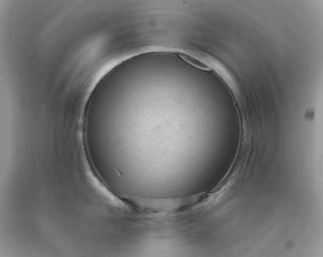 X0000091450958200709061732