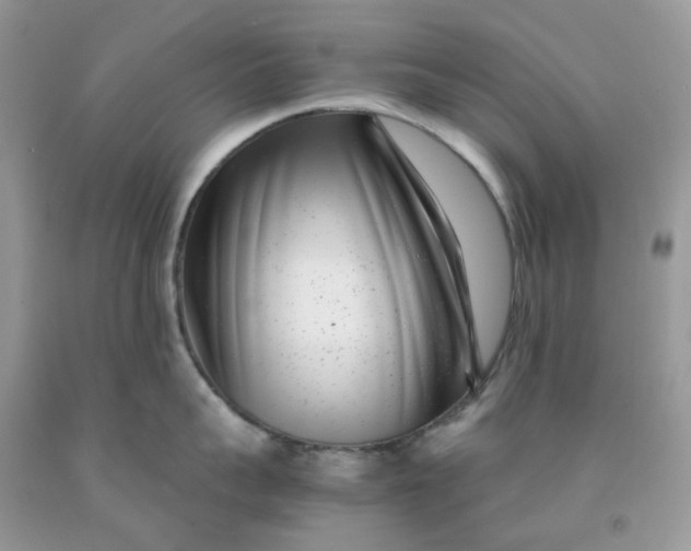 X0000091450959200709061732