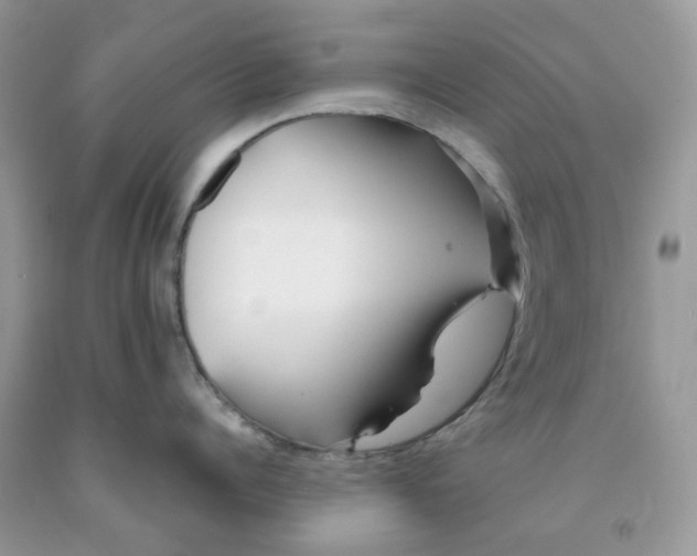 X0000091450960200709061732