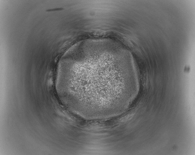 X0000091450962200709061731