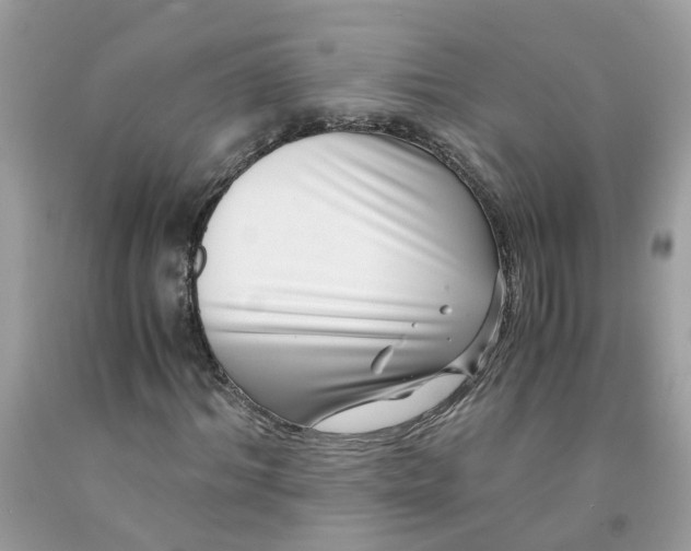 X0000091450964200709061731