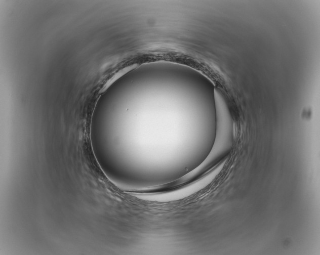 X0000091450965200709061731