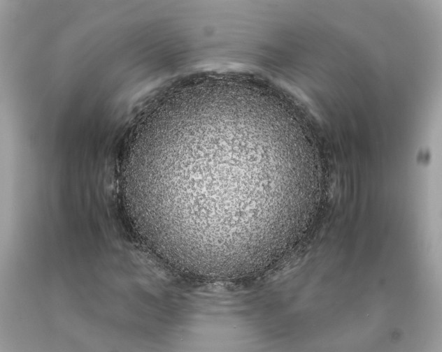 X0000091450966200709061731