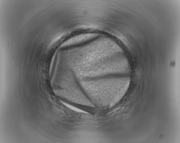 X0000091450967200709061731