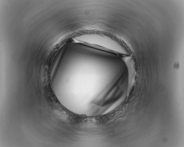 X0000091450968200709061731