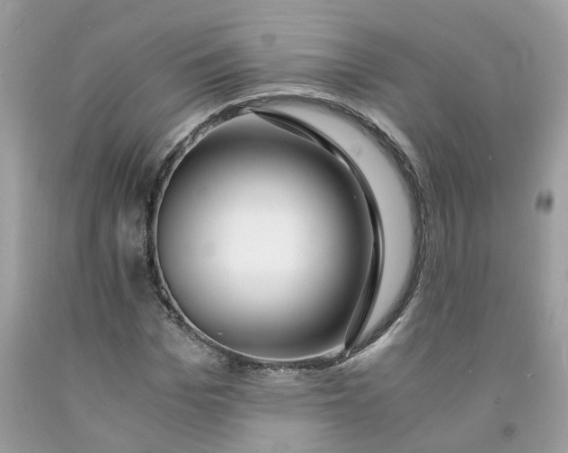 X0000091450969200709061731