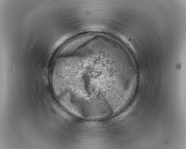 X0000091450970200709061731