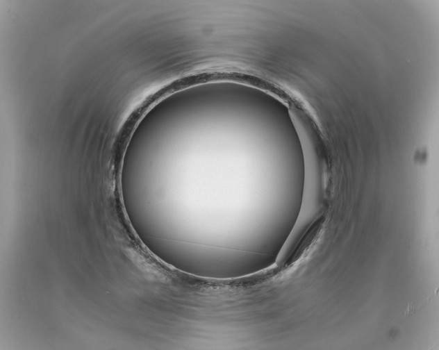 X0000091450973200709061731