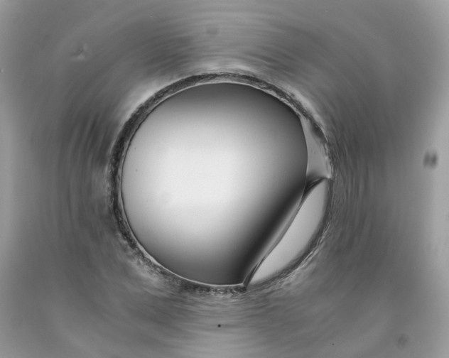 X0000091450975200709061731