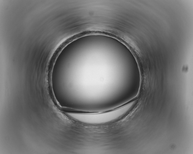 X0000091450976200709061731