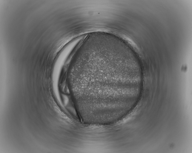 X0000091450977200709061731