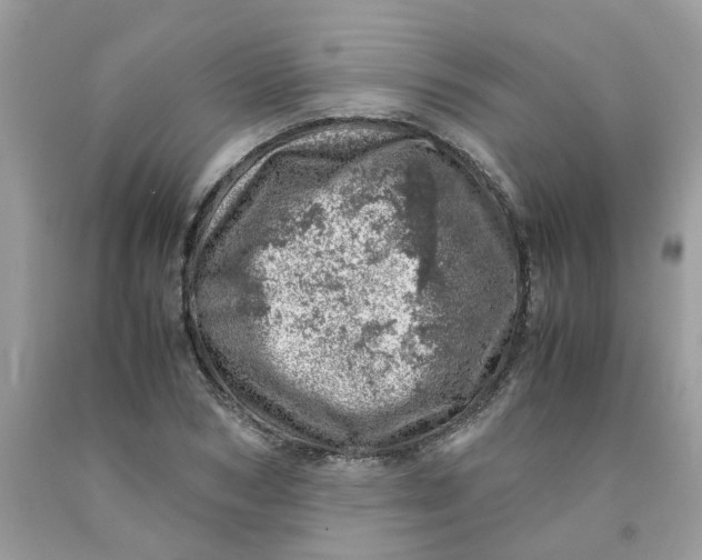 X0000091450978200709061731