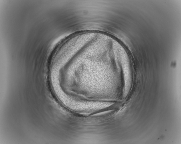 X0000091450979200709061731