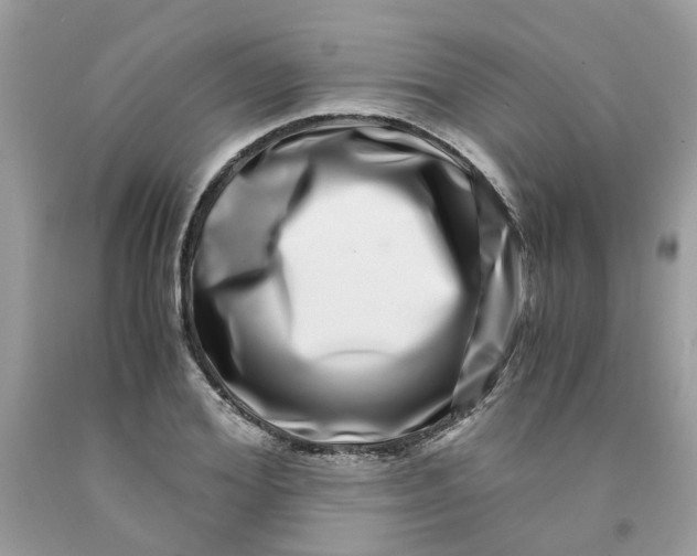 X0000091450980200709061731