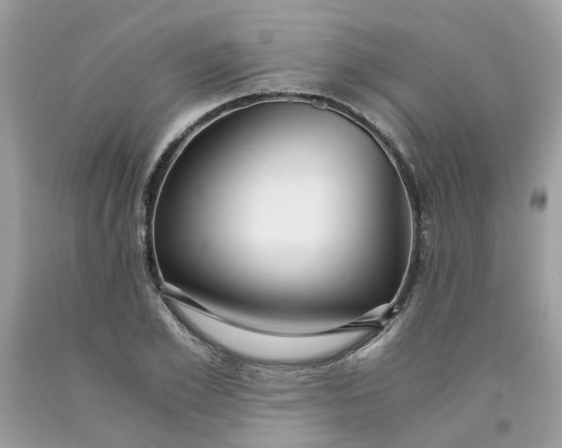 X0000091450981200709061731