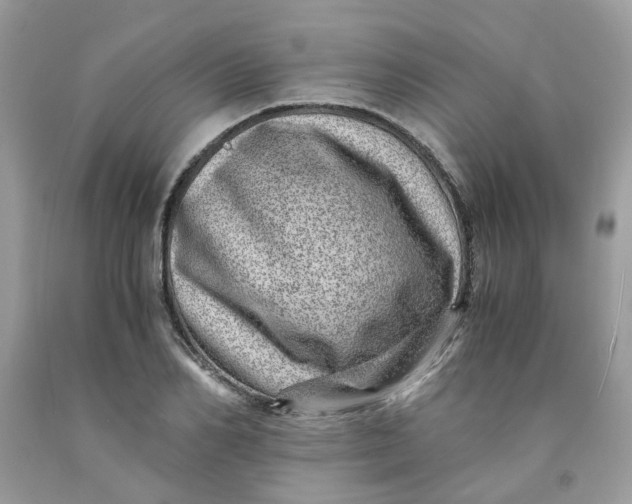 X0000091450982200709061731